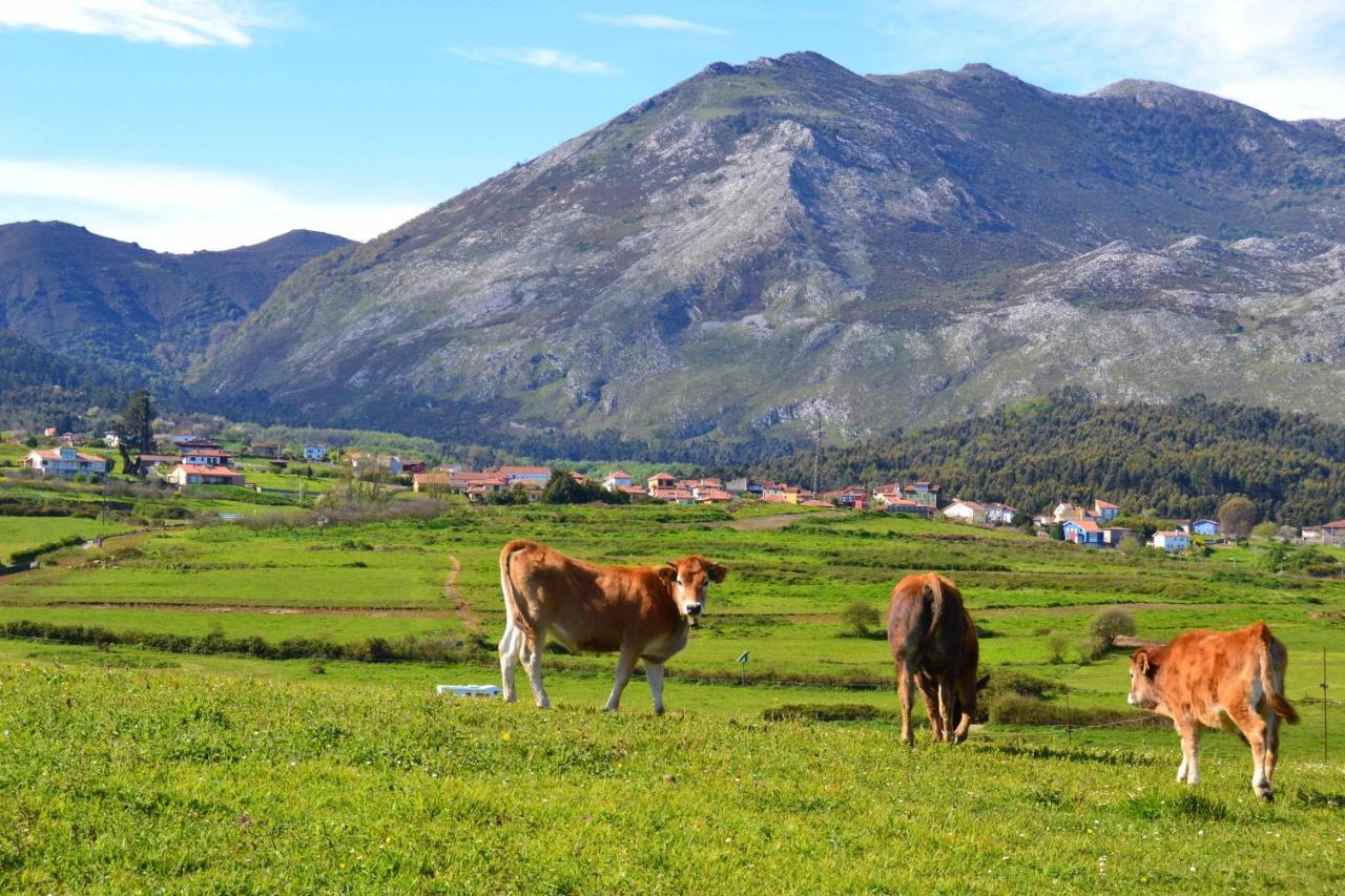 Willa Casa Palo Balcon A Picos De Europa Arriondas Zewnętrze zdjęcie